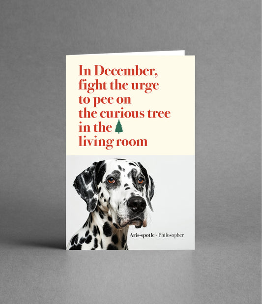 Happy Christmas & sage advice about the Christmas tree