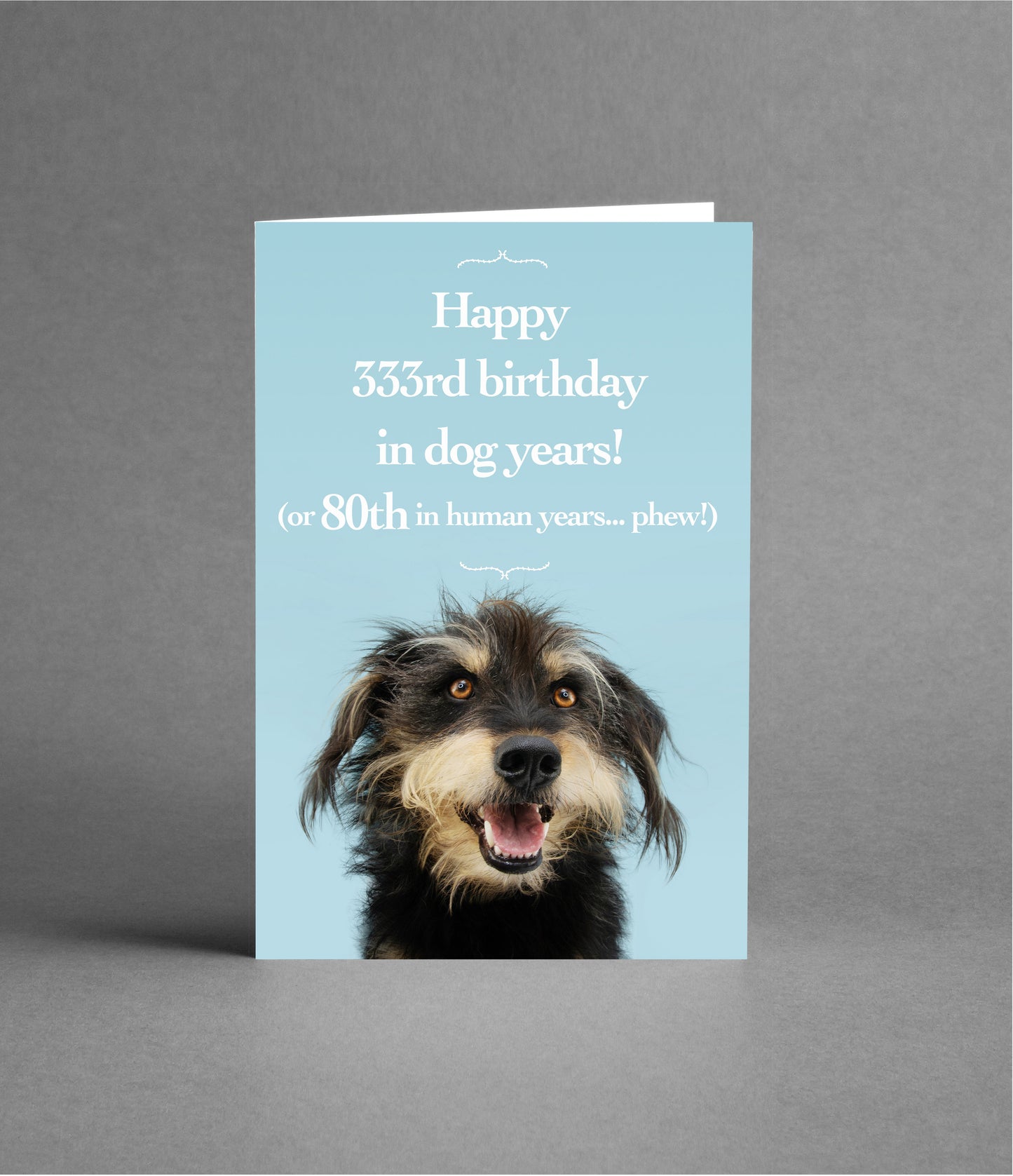 Happy 80th Birthday in Dog Years