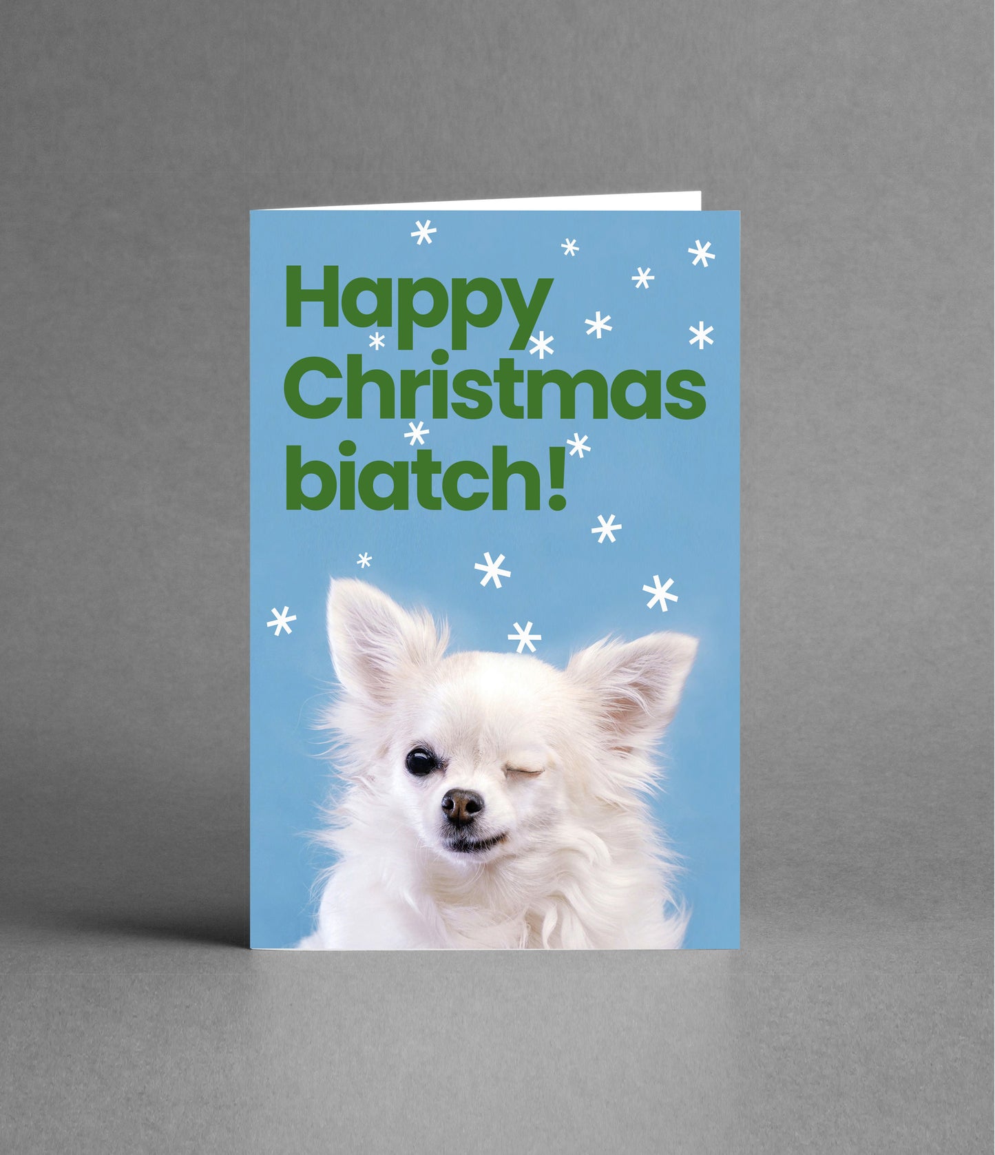 Happy Christmas Biatch!