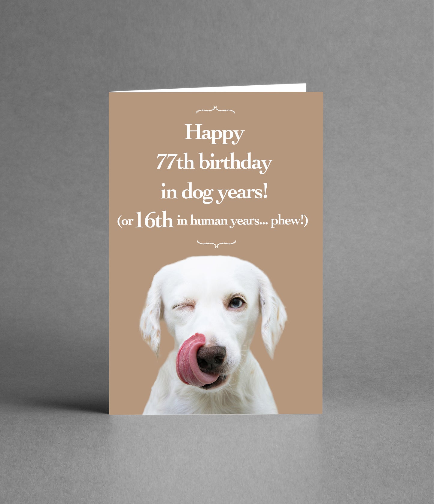 Happy 16th Birthday in Dog Years