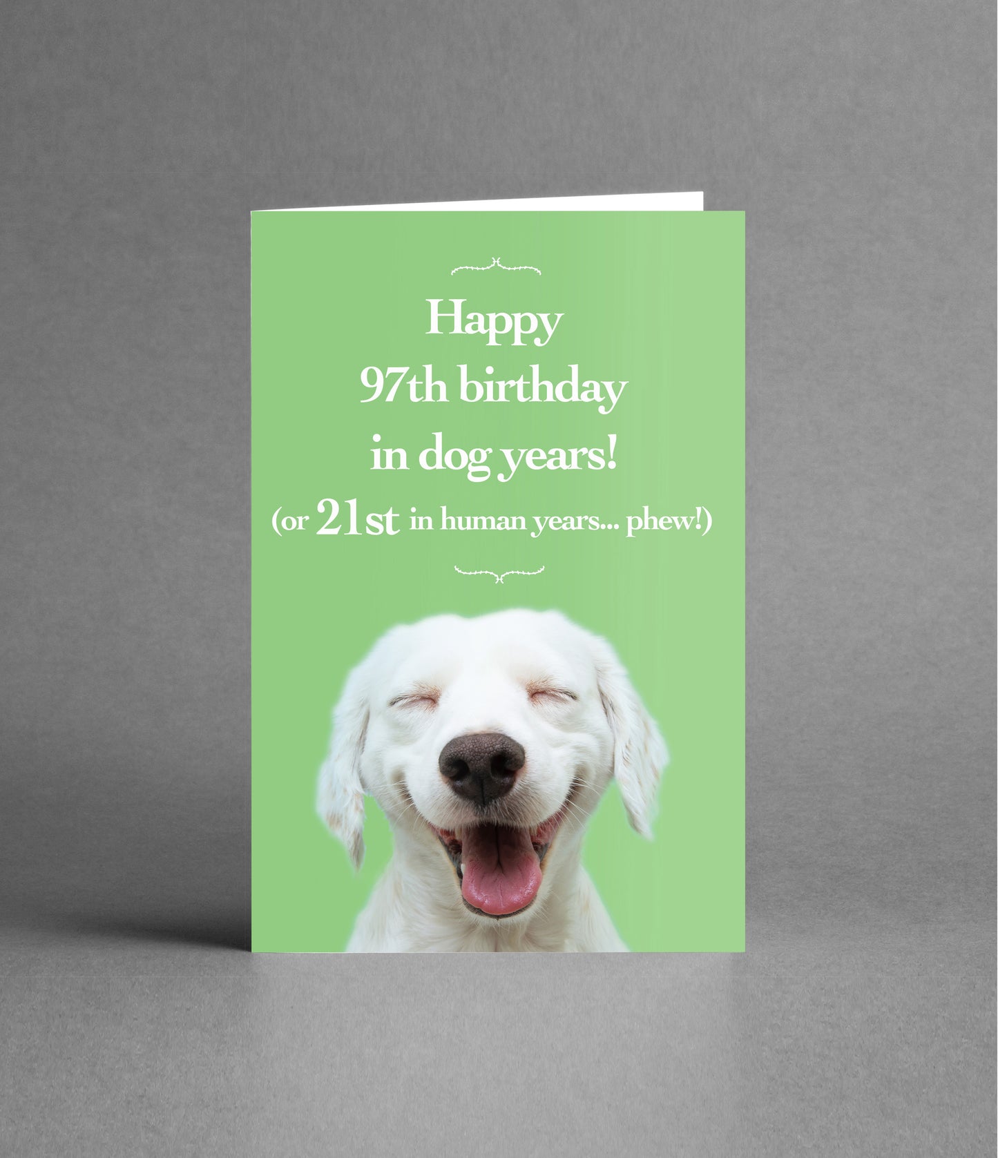 Happy 21st Birthday in Dog Years