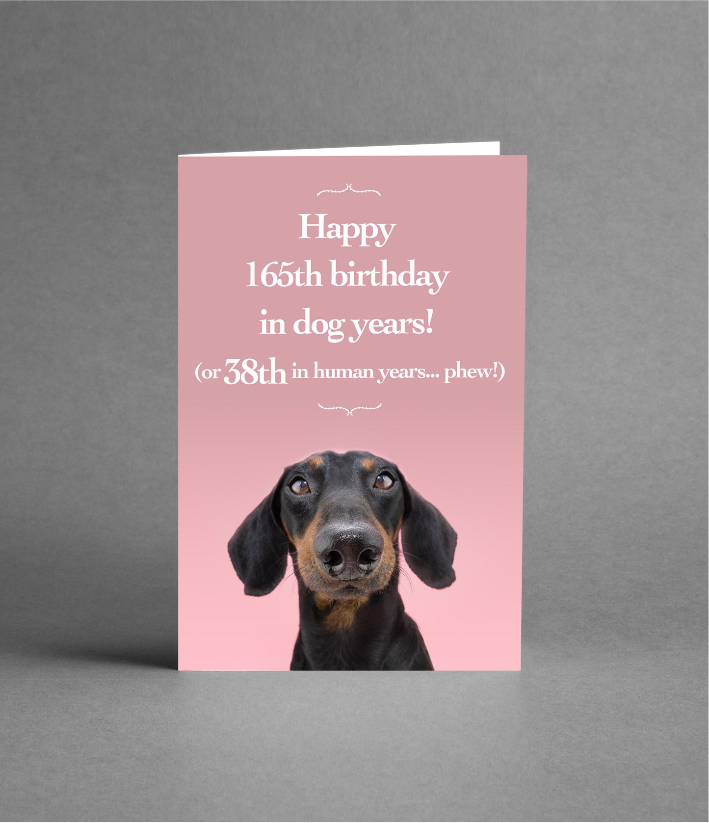 Happy 38th Birthday in Dog Years