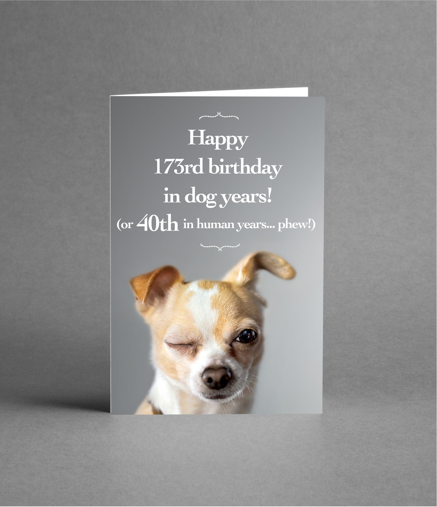 Happy 40th Birthday in Dog Years