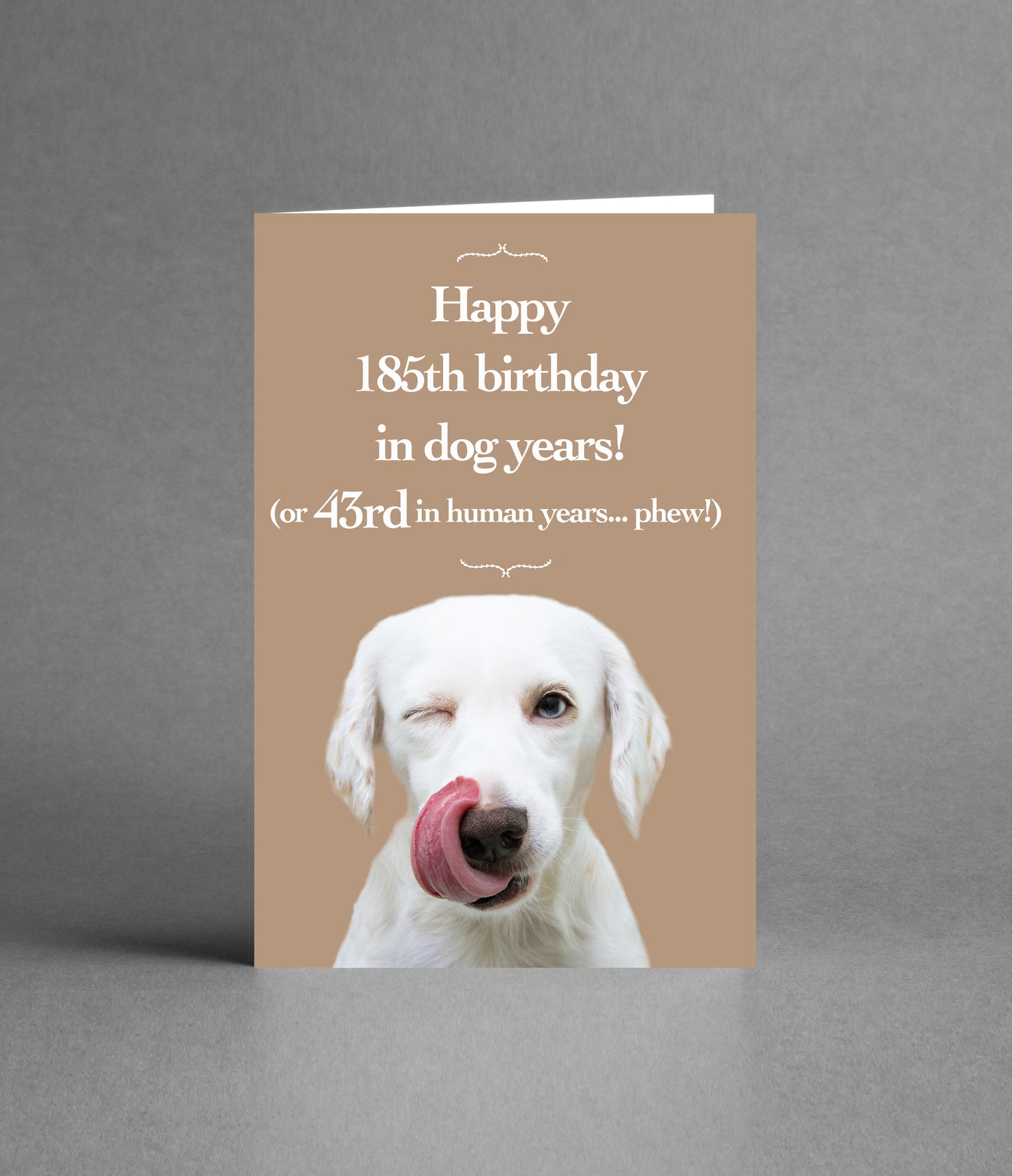 Happy 43rd Birthday in Dog Years