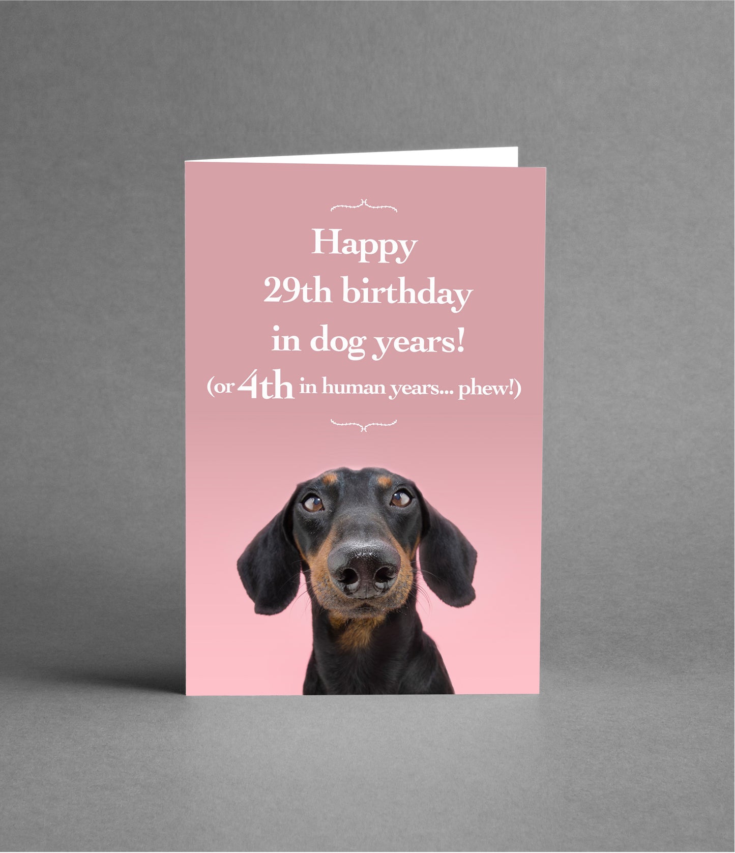 Happy 4th Birthday in Dog Years