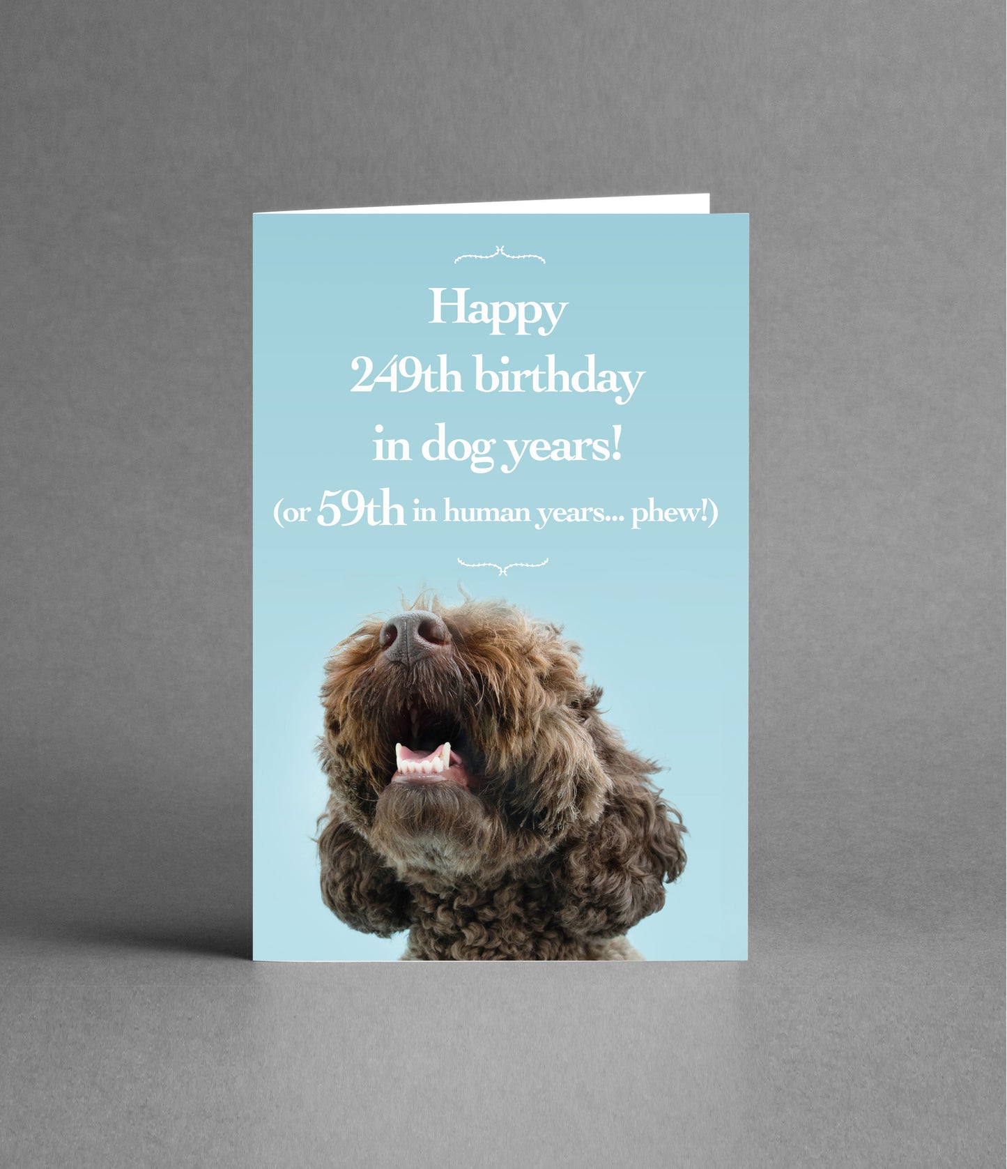 Happy 59th Birthday in Dog Years