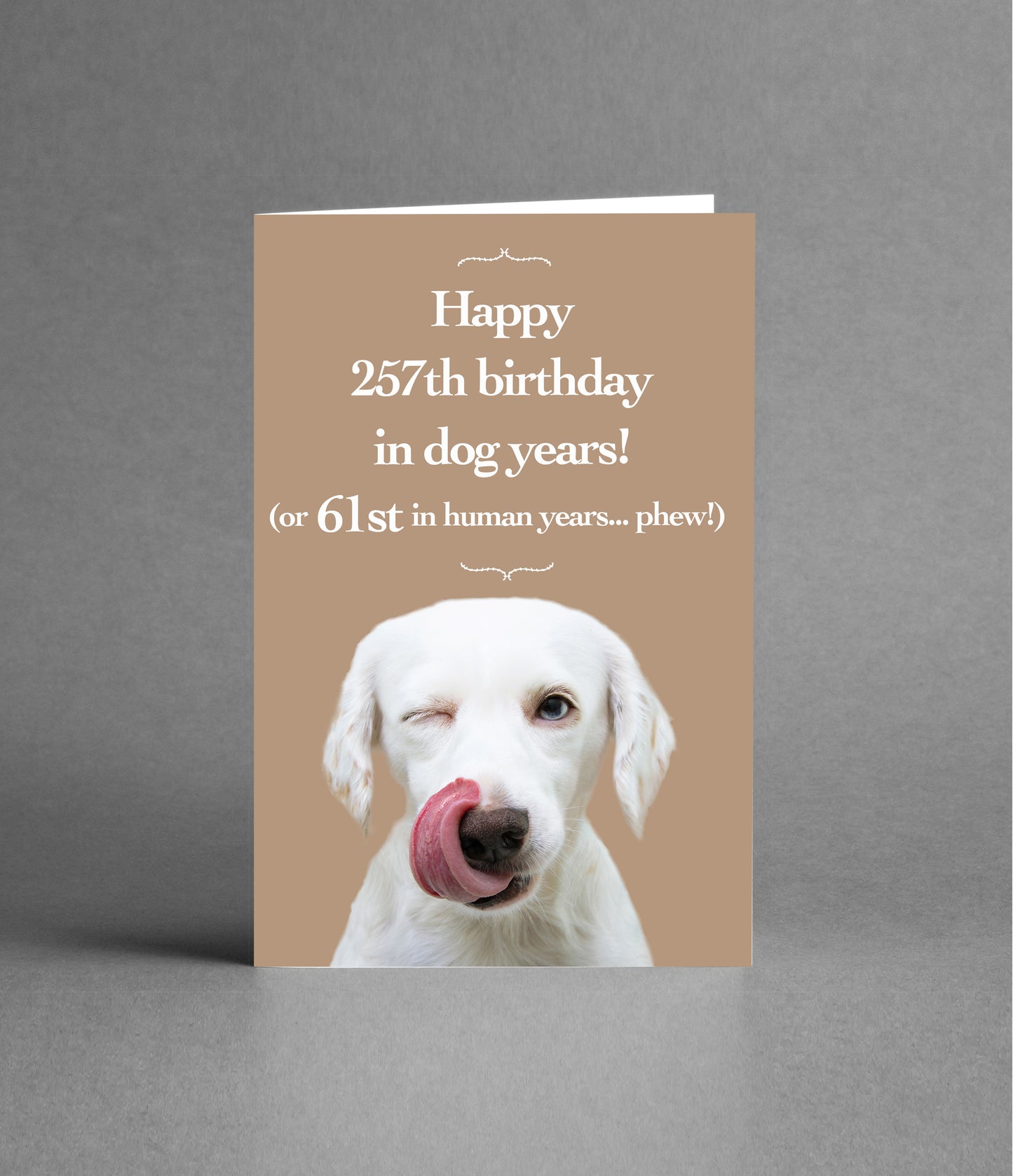 Happy 61st Birthday in Dog Years