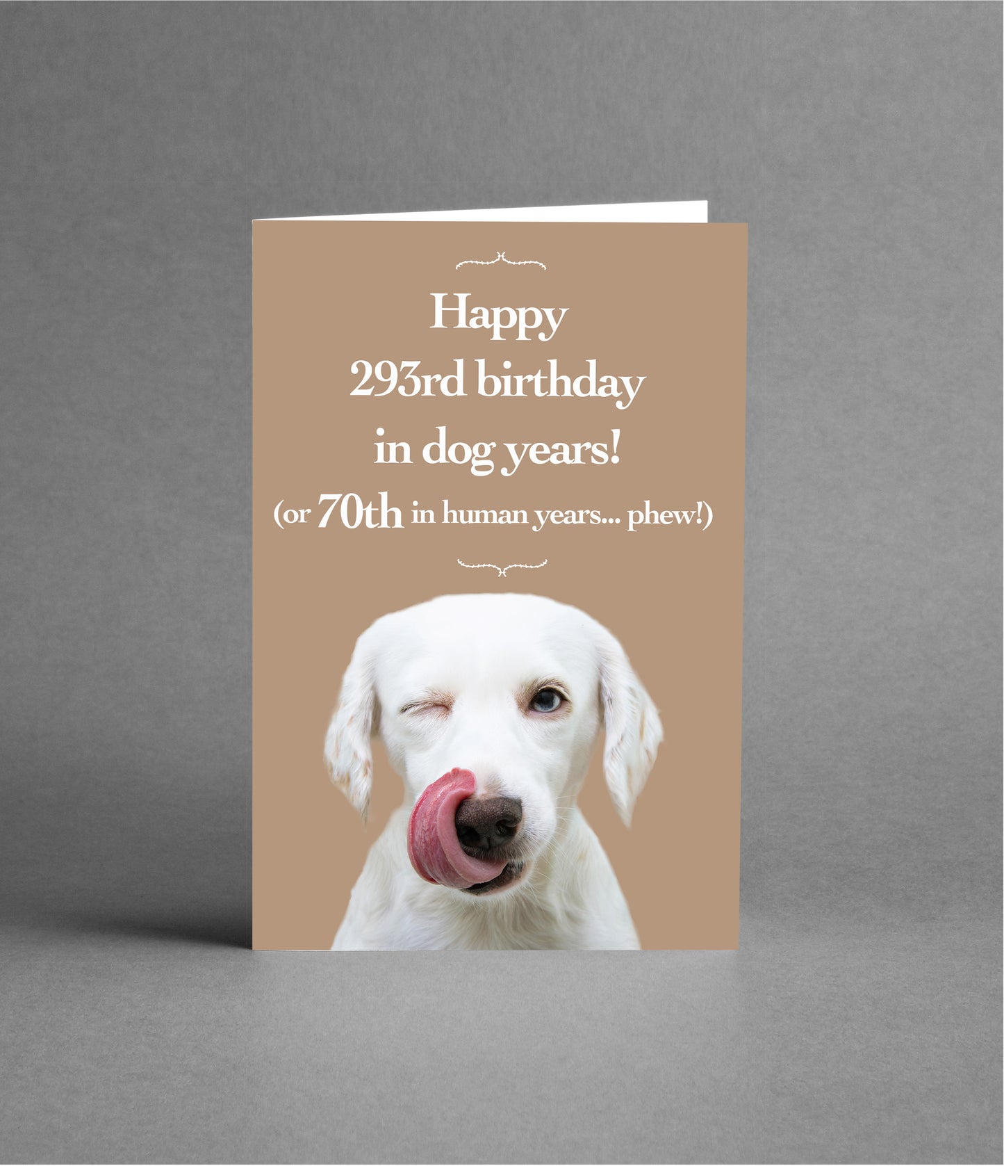 Happy 70th Birthday in Dog Years