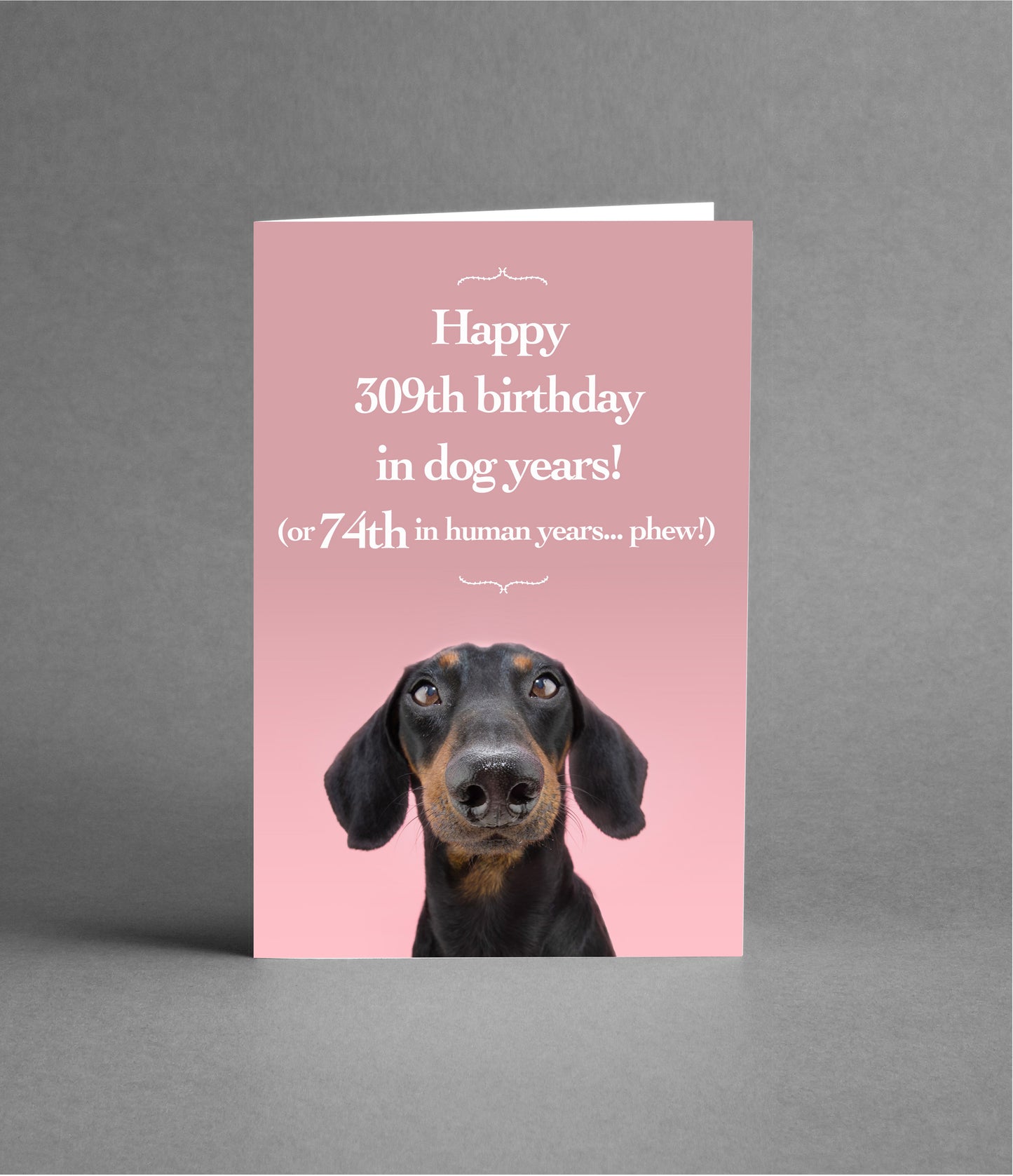 Happy 74th Birthday in Dog Years