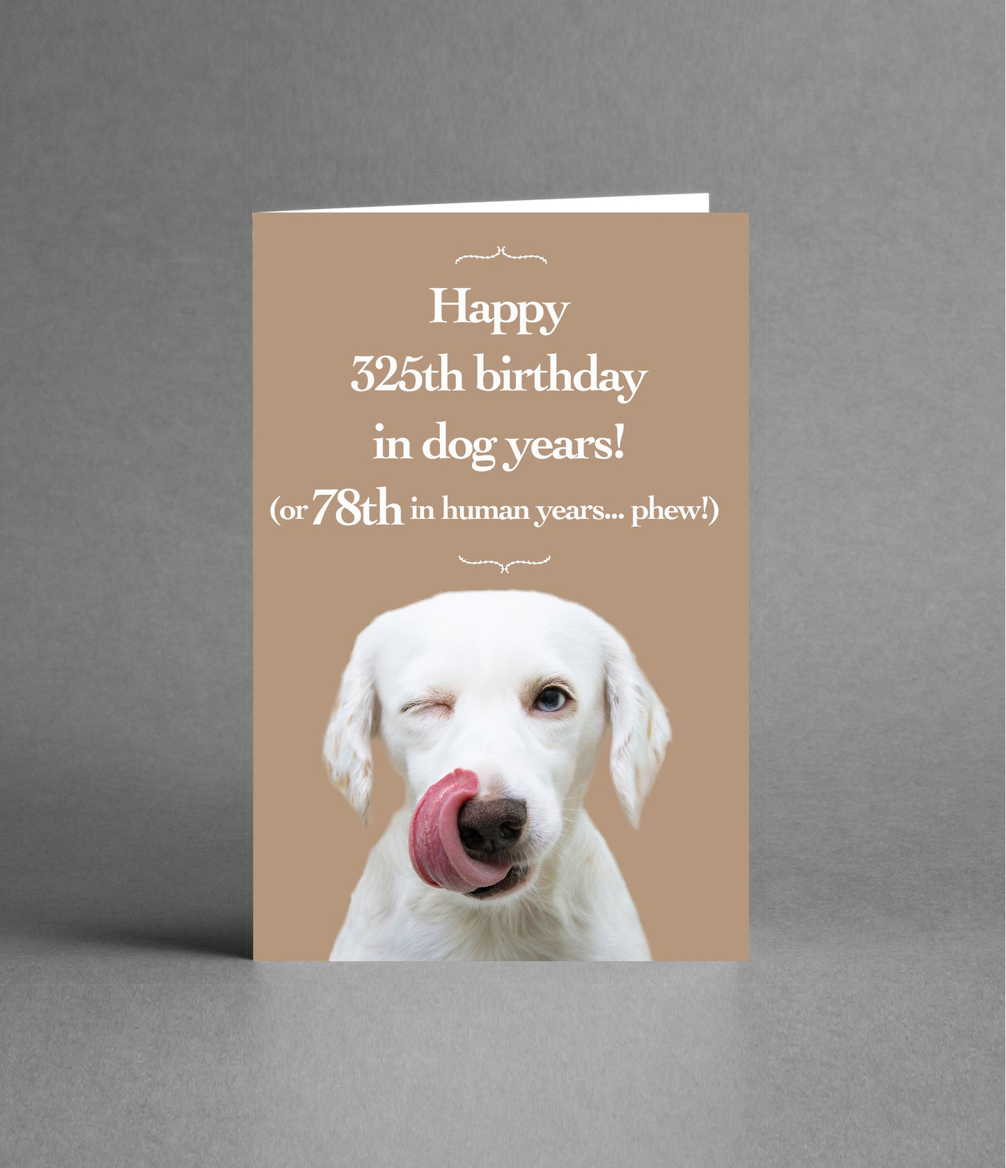 Happy 78th Birthday in Dog Years