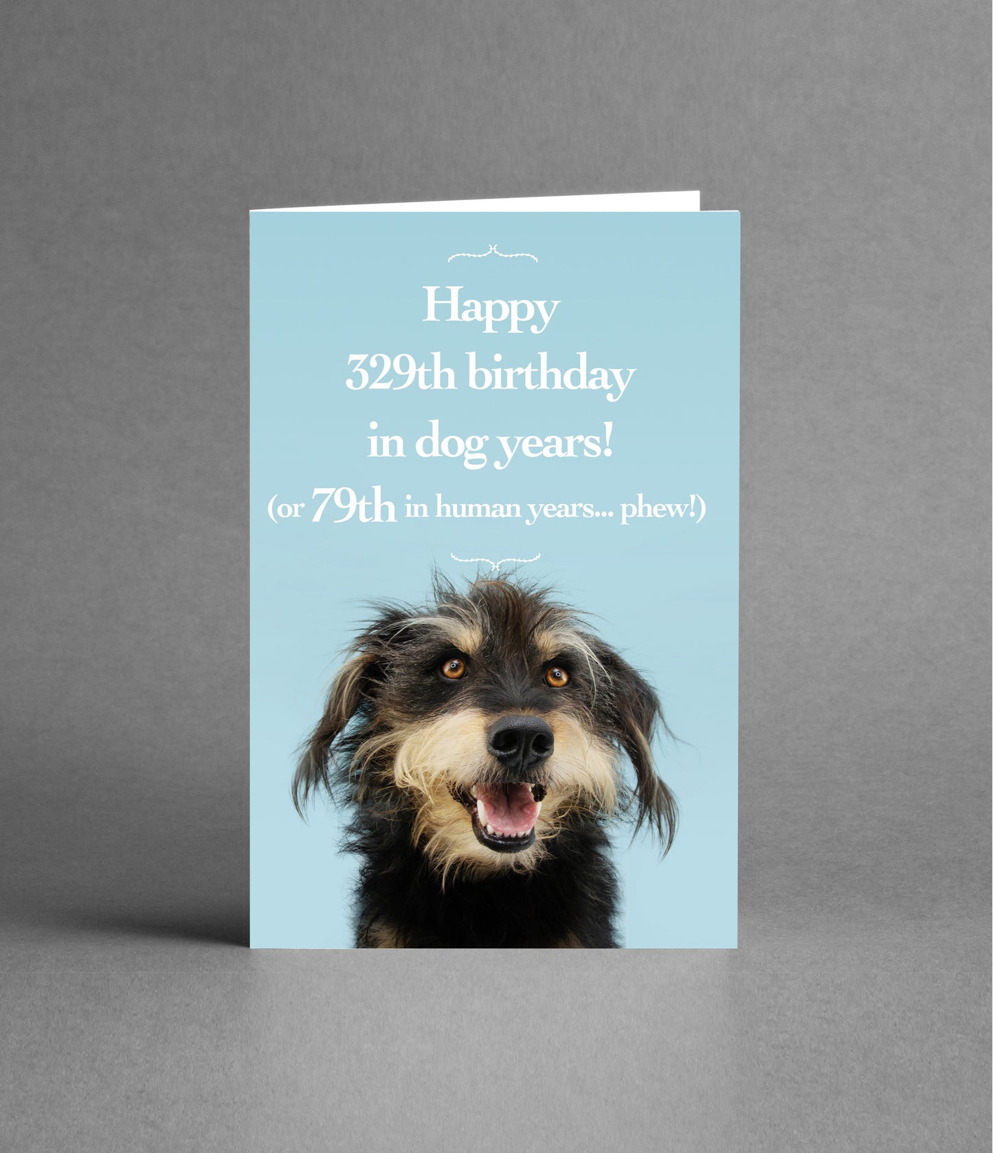 Happy 79th Birthday in Dog Years