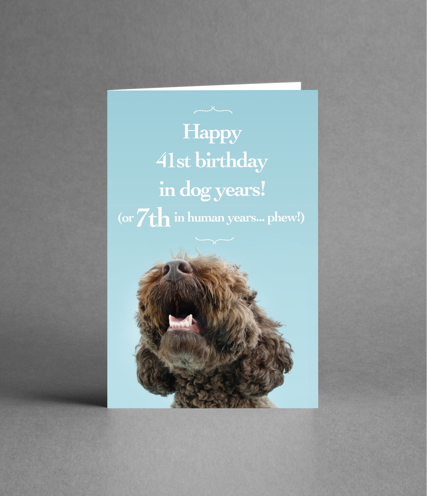 Happy 7th Birthday in Dog Years
