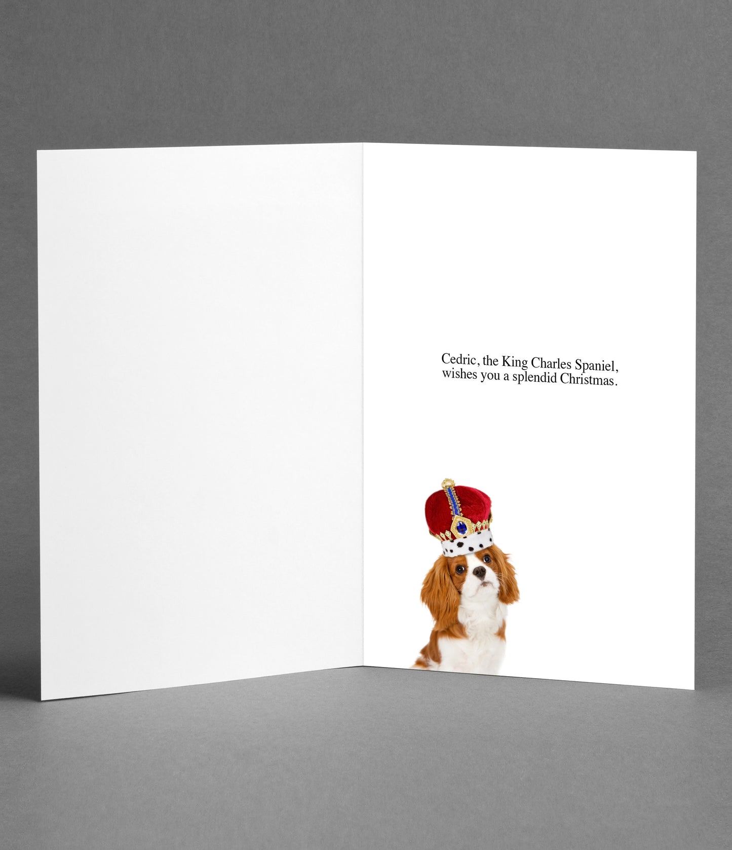 King Charles wishes you a silly Silly Season