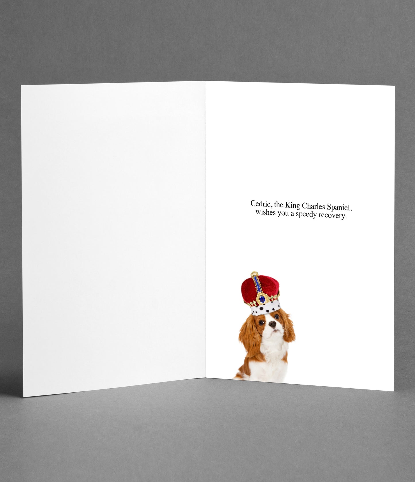 King Charles says Get Well Soon (Adult Version)