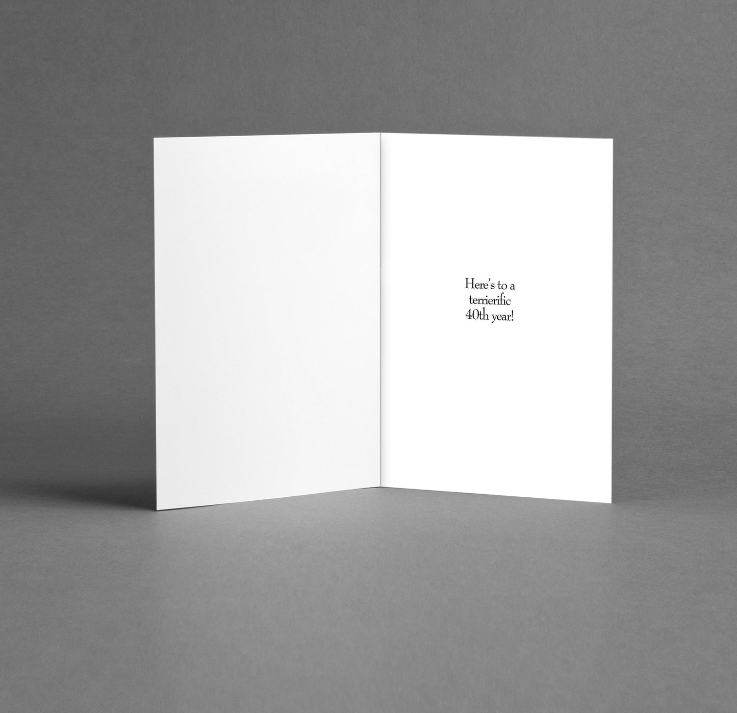 Happy 48th Birthday in Dog Years