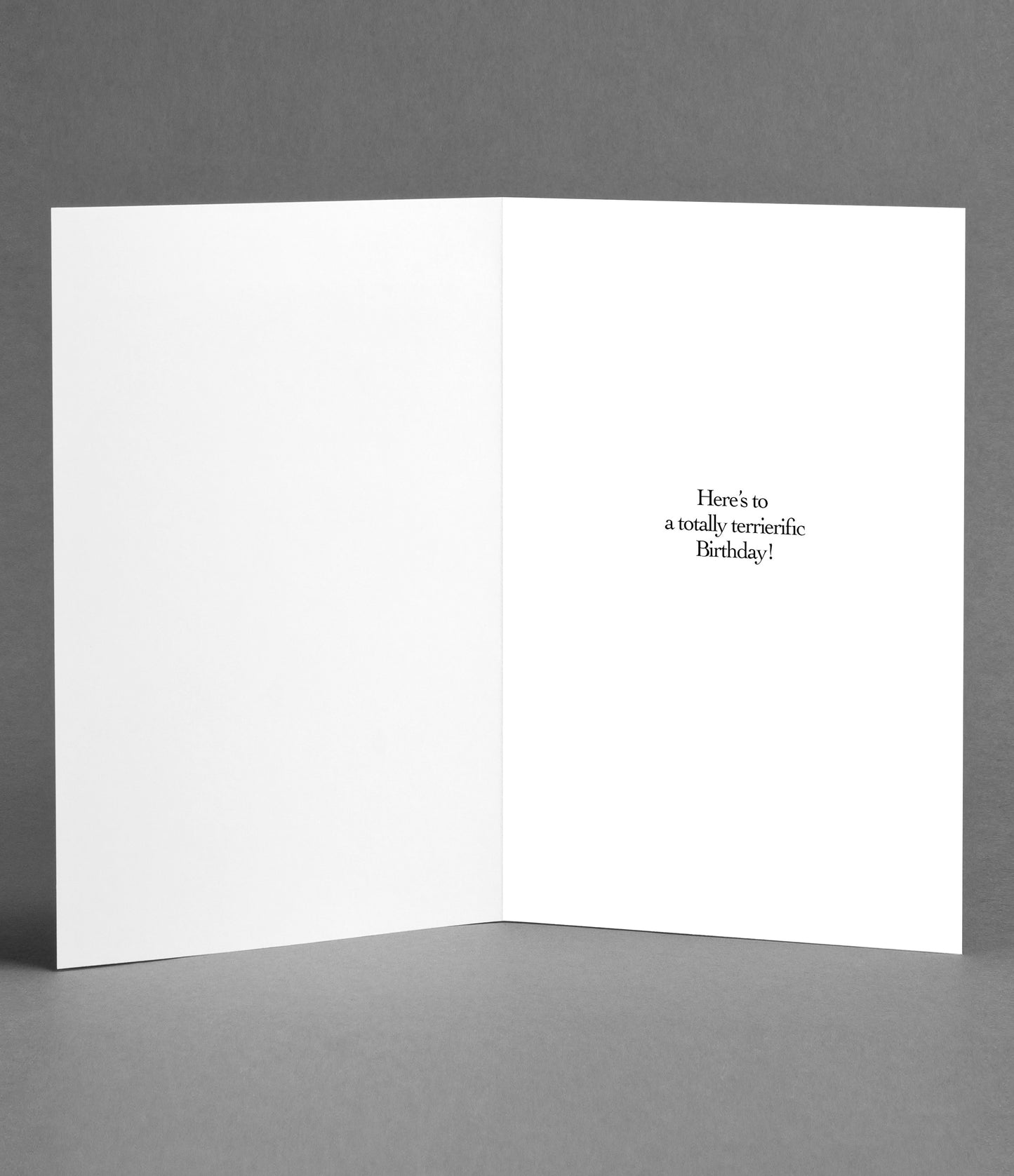 Happy 40th Birthday in Dog Years