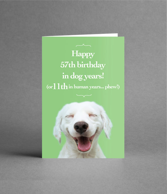 Happy 11th Birthday in Dog Years