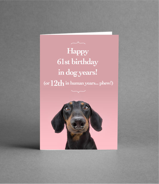 Happy 12th Birthday in Dog Years!