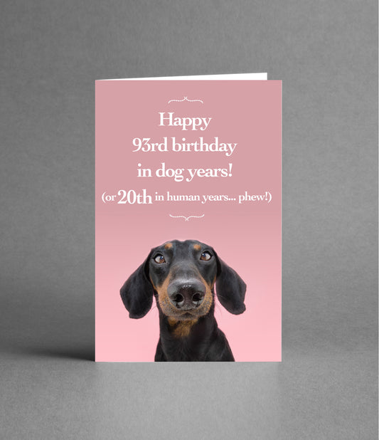 Happy 20th Birthday in Dog Years!