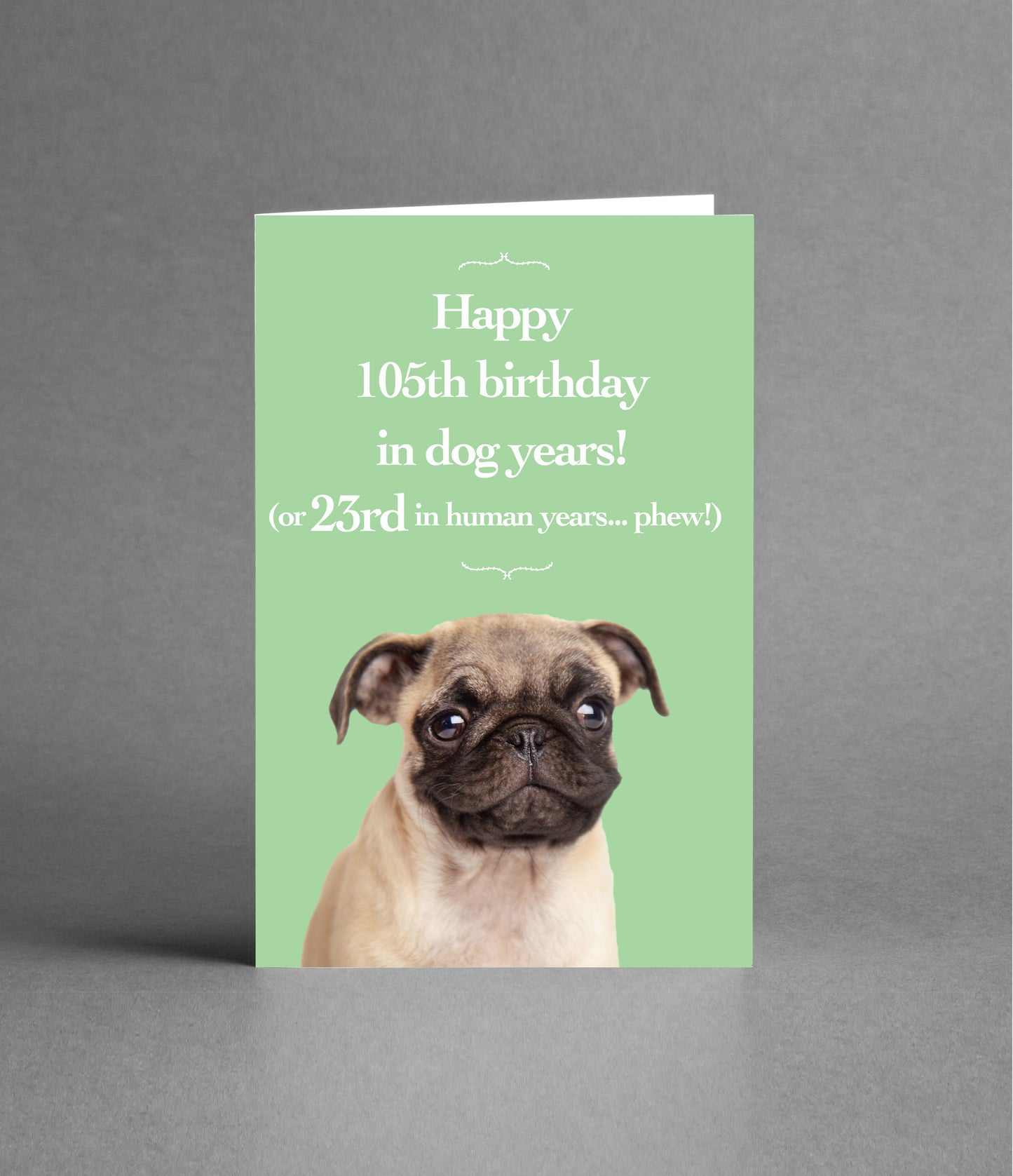 Happy 23rd Birthday in Dog Years