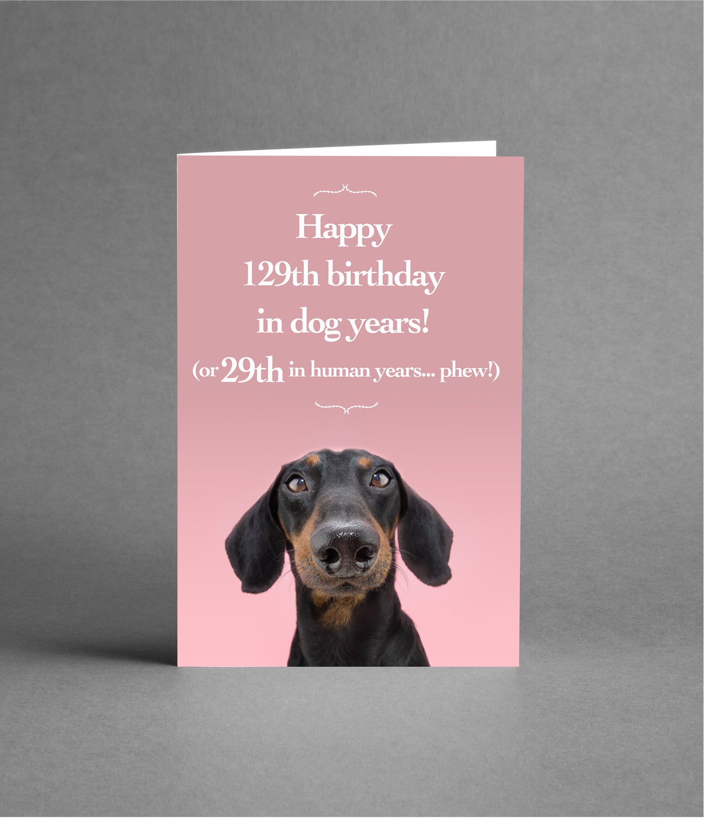 Happy 29th Birthday in Dog Years