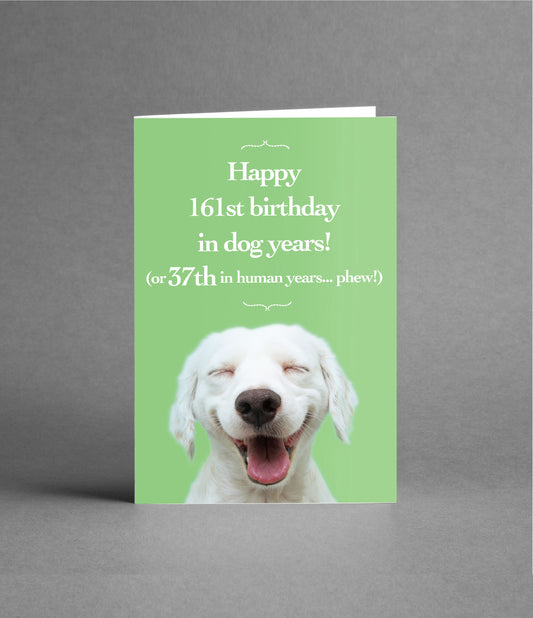 Happy 37th Birthday in Dog Years