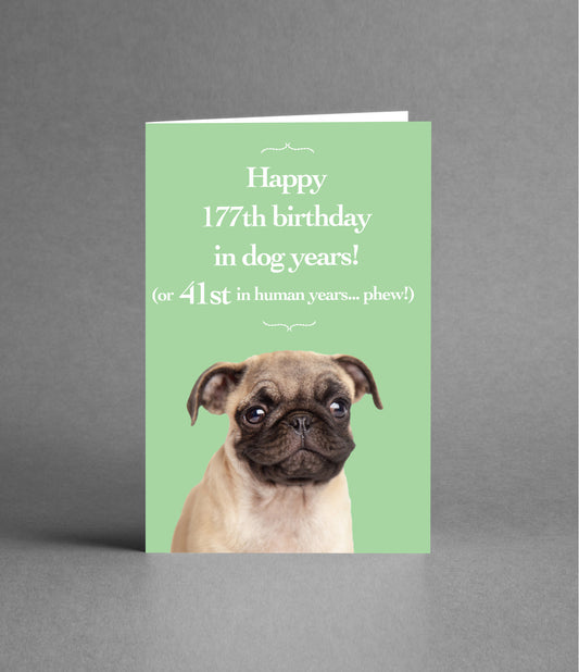 Happy 41st Birthday in Dog Years