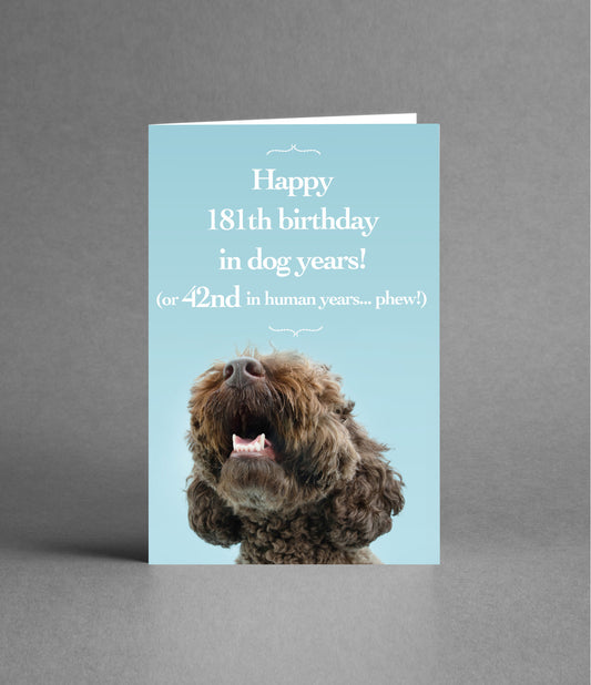 Happy 42nd Birthday in Dog Years