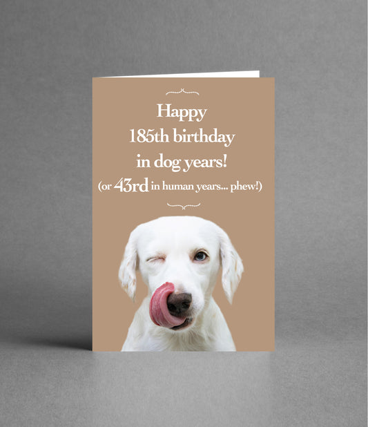Happy 43rd Birthday in Dog Years