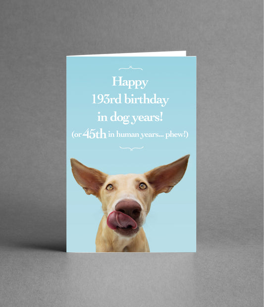 Happy 45th Birthday in Dog Years
