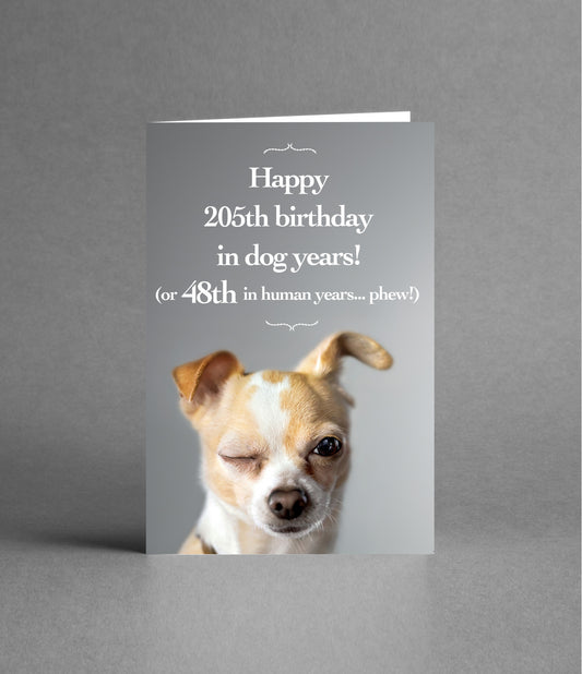 Happy 48th Birthday in Dog Years