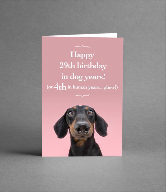 Happy 4th Birthday in Dog Years