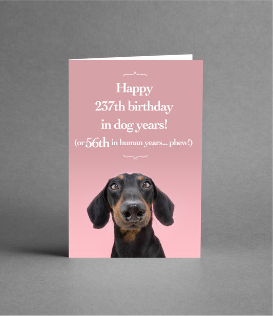 Happy 56th Birthday in Dog Years
