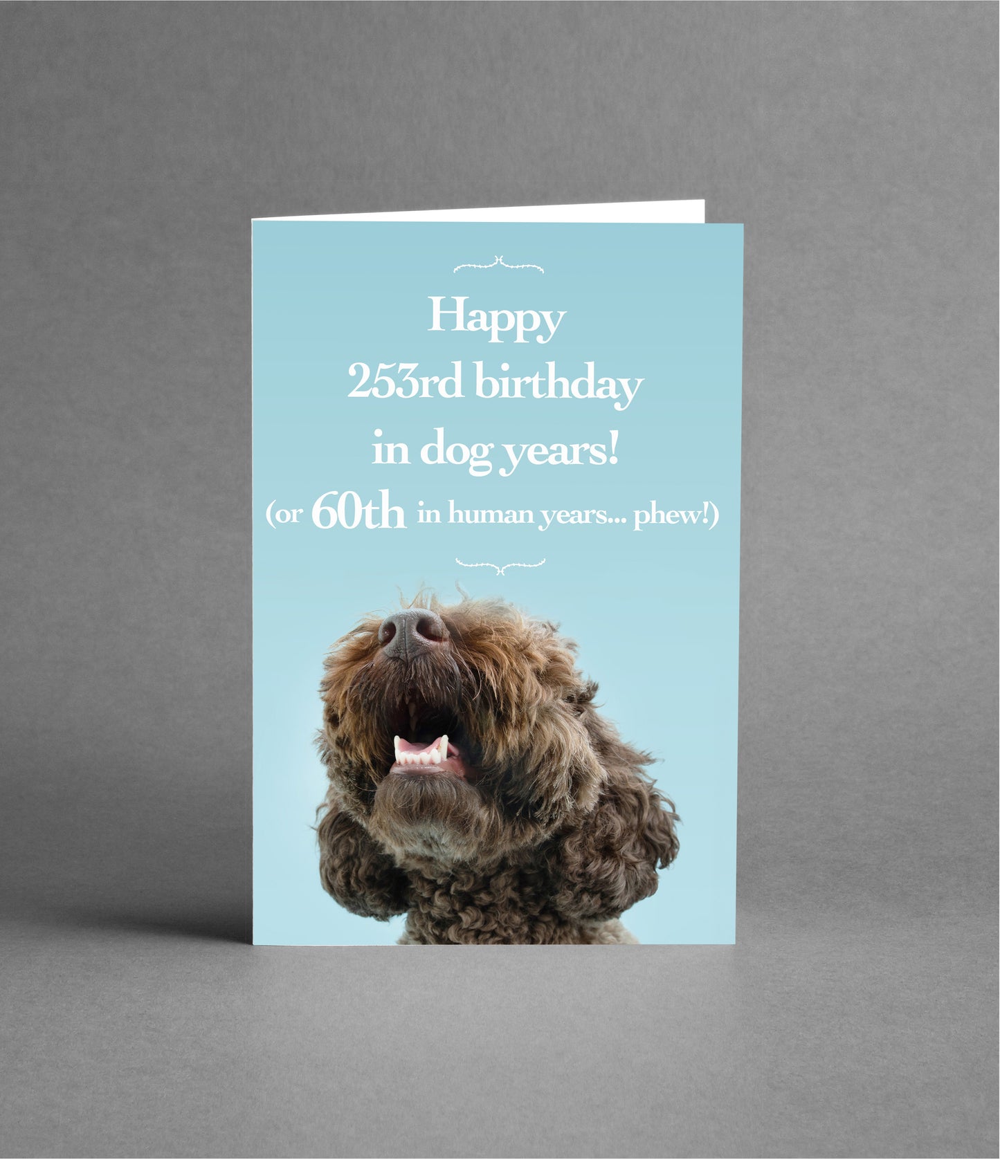 Happy 60th Birthday in Dog Years