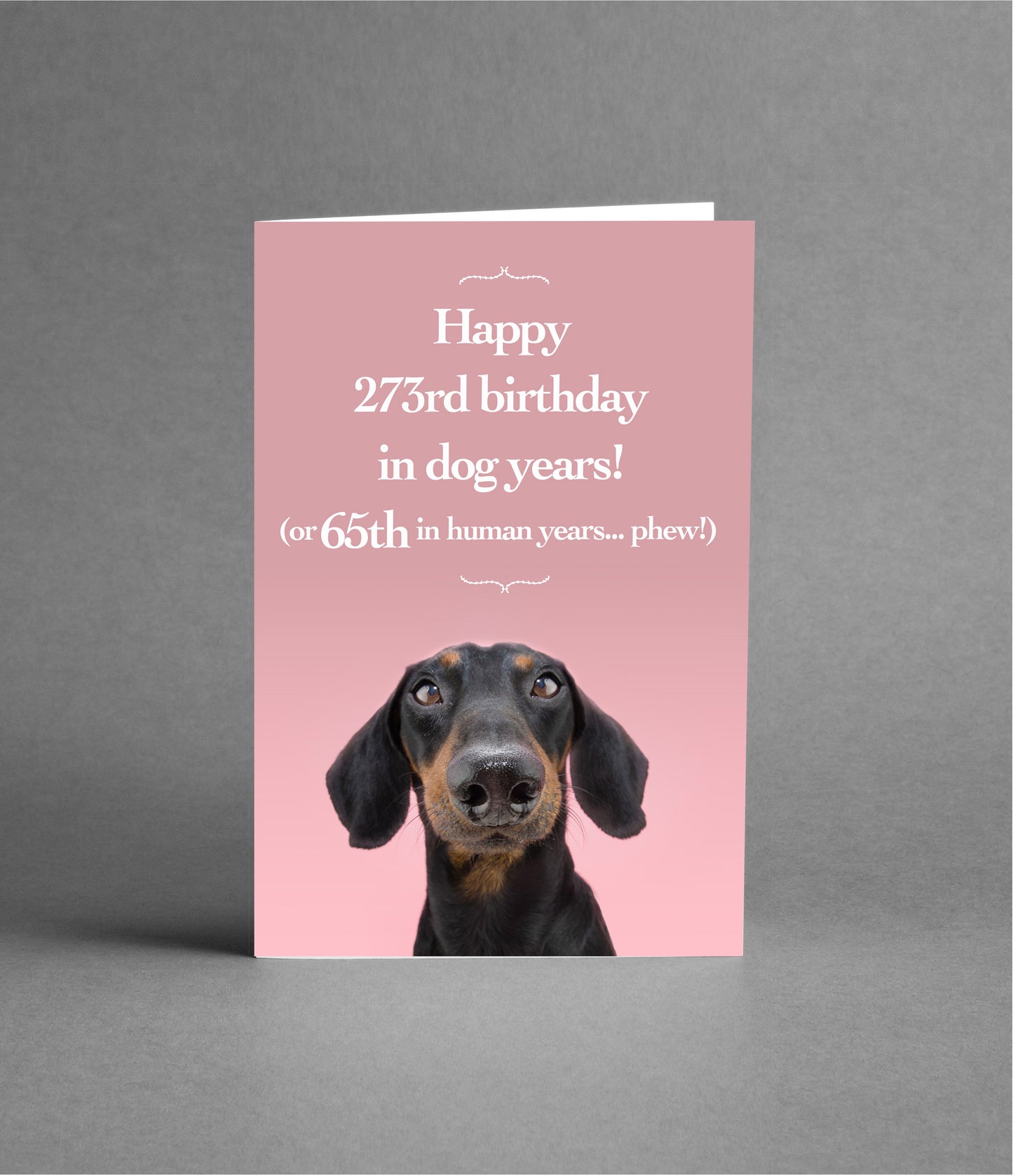 Happy 65th Birthday in Dog Years