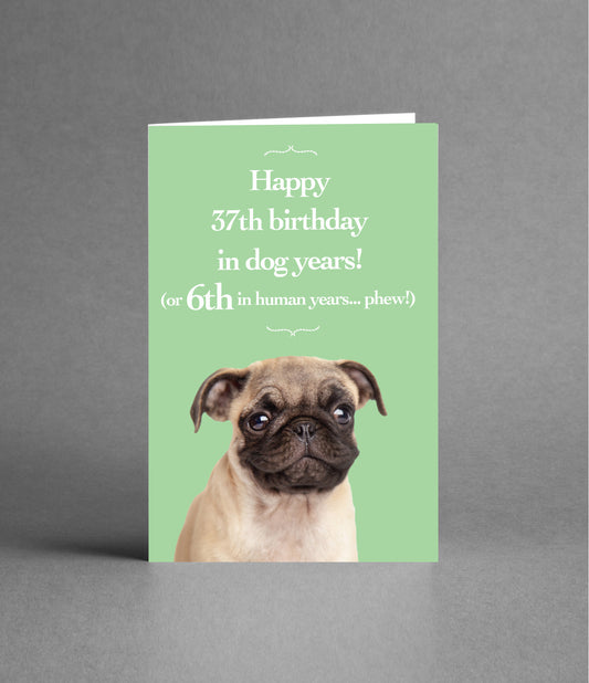 Happy 6th Birthday in Dog Years
