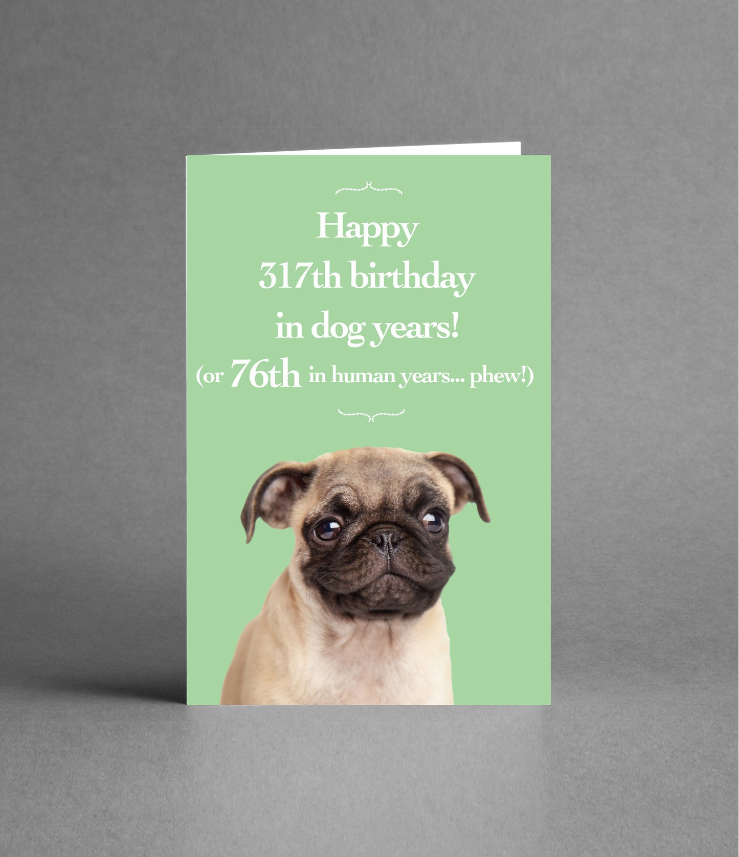 Happy 76th Birthday in Dog Years