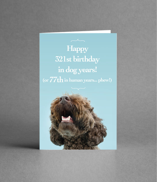 Happy 77th Birthday in Dog Years
