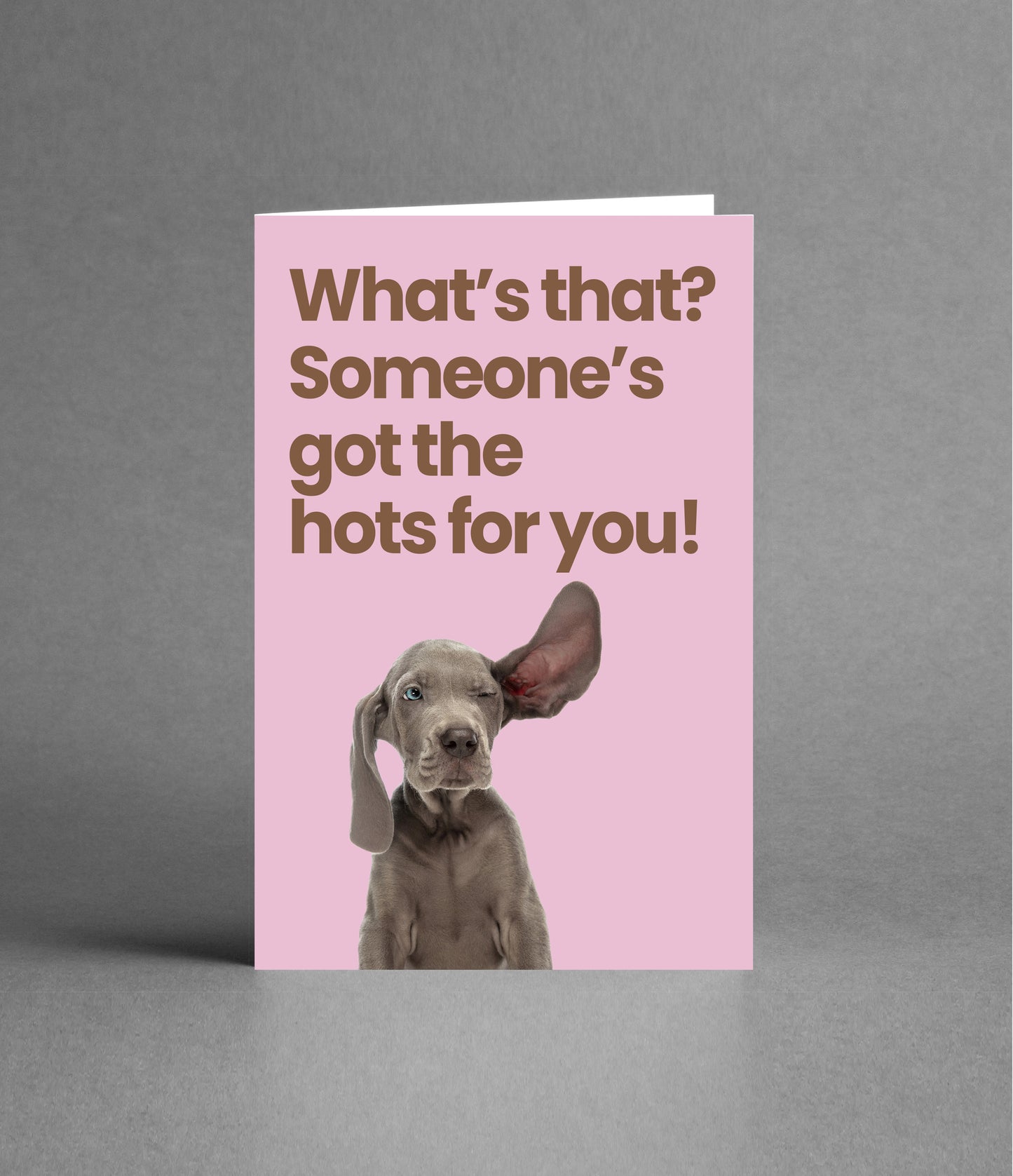 I hear it's Valentine's Day