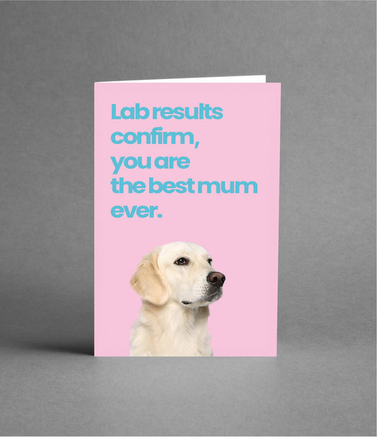 Mother's Day wishes from The Lab