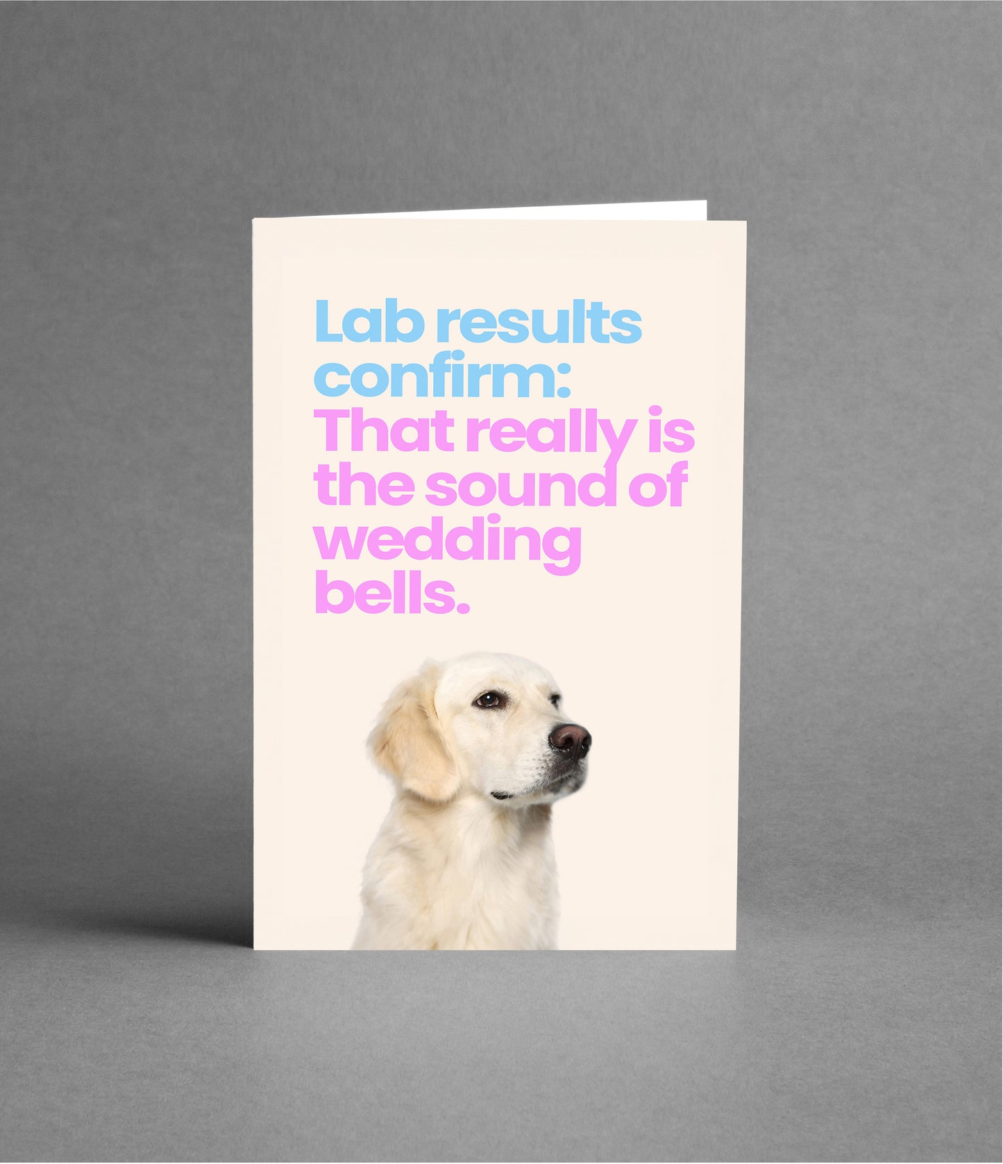 Wedding wishes from The Lab